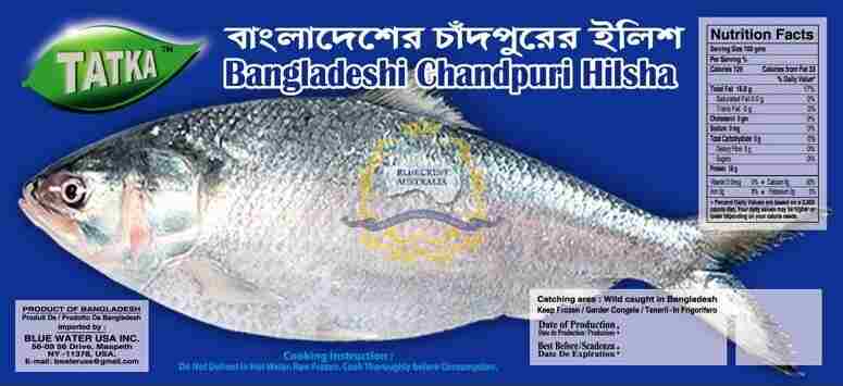 Hilsha / Ilish / Saboor - Image 2