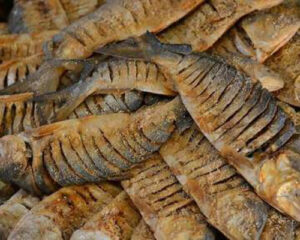 nona-ilish-by-purwaaii