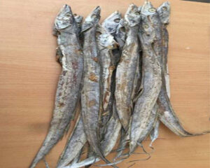 ribbon-whole-fish-dry