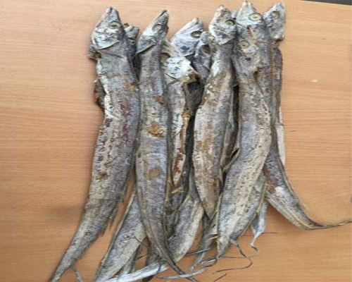 Ribbon whole fish - Image 2