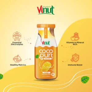 vinut cocogurt mango