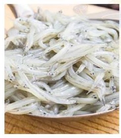 Shoil