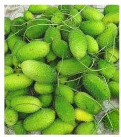 KAKROL